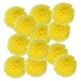 thumbnail image 1 of Pom Poms de Papel de 4 pulgadas, 12PCS Flores de Papel Pom Poms para Decoración de Bodas, Despedidas de Soltera, Cumpleaños, Fiesta, Decoración de Fondo, Amarillo Claro, 1 of 6