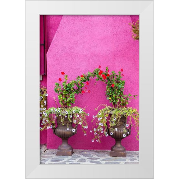 Eggers, Julie 11x14 White Modern Wood Framed Museum Art Print Titled - Italy-Venice-Burano Island Urns planted with flowers against a bright pink wall on Burano Island
