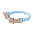 thumbnail image 1 of Close range short leash dog chain explosion-proof charging pet leash collar medium large fierce dog, 1 of 2