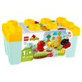thumbnail image 4 of LEGO DUPLO My First Organic Garden 10984, 4 of 5