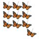 thumbnail image 3 of Moyic Hermoso juego de decoración de mariposas de imitación para pared de boda, paquete de 10 Kits de decoración para fiestas, 3 of 6