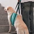 thumbnail image 5 of UOSIA Dog Lift Harness Medium - Hind Leg Support Sling with Hip Padding, 5 of 8