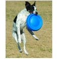 thumbnail image 6 of Dog Jump Catch and Fetch Toys Floating Interactive Foam Flyer Glider Disc FUN! (11 inch Blue), 6 of 6