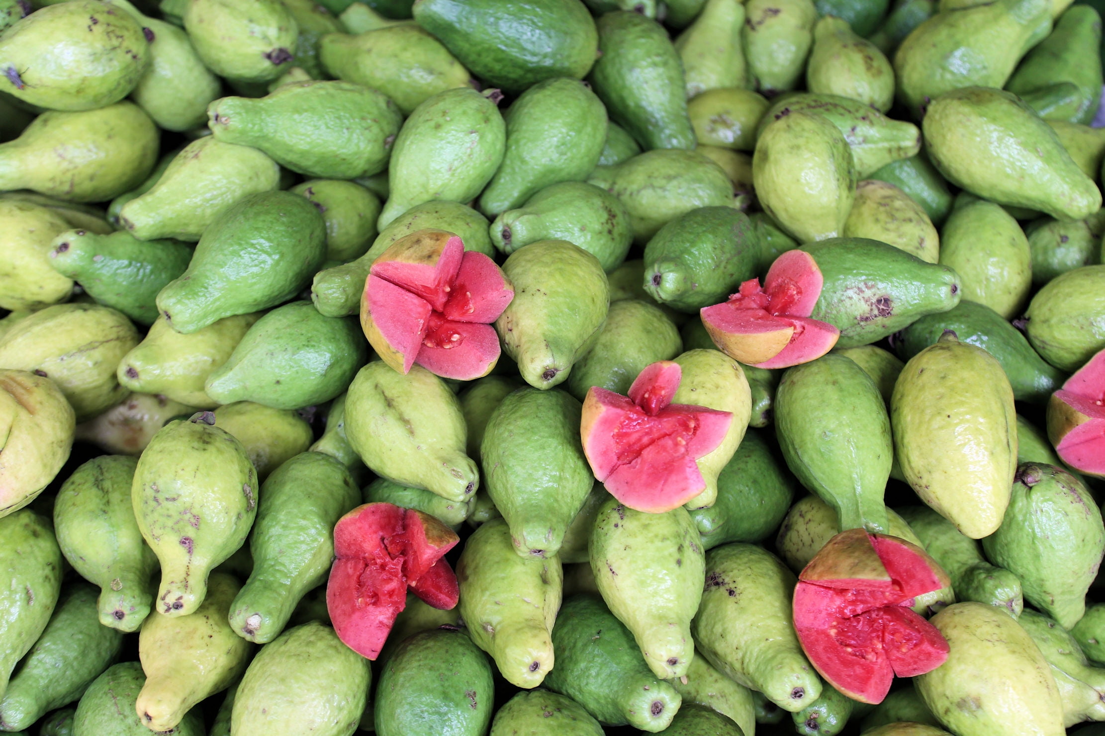 Edible, Fast, Fragrant Guava White Free Ship Red Psidium guajava Tree Seeds 