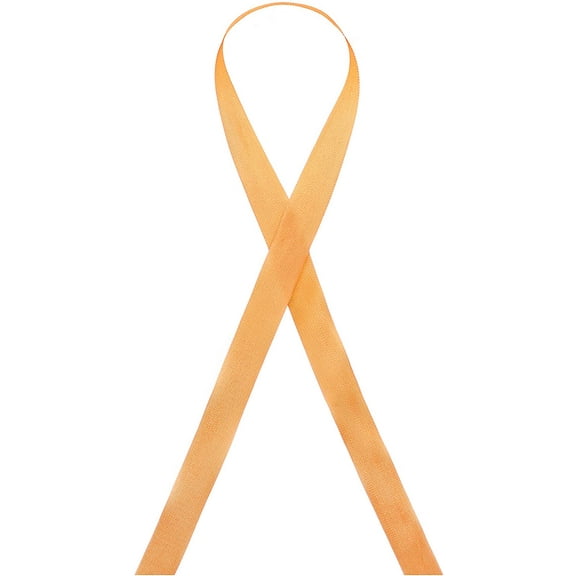 Seam Binding Rayon Ribbon 1/2-Inch x 100 Yards (169 - Ambrosia)
