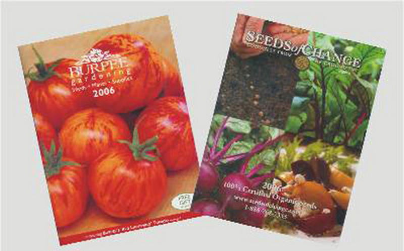 Dollhouse Miniature Set of 2 Seed Catalogs by Tiny Details 