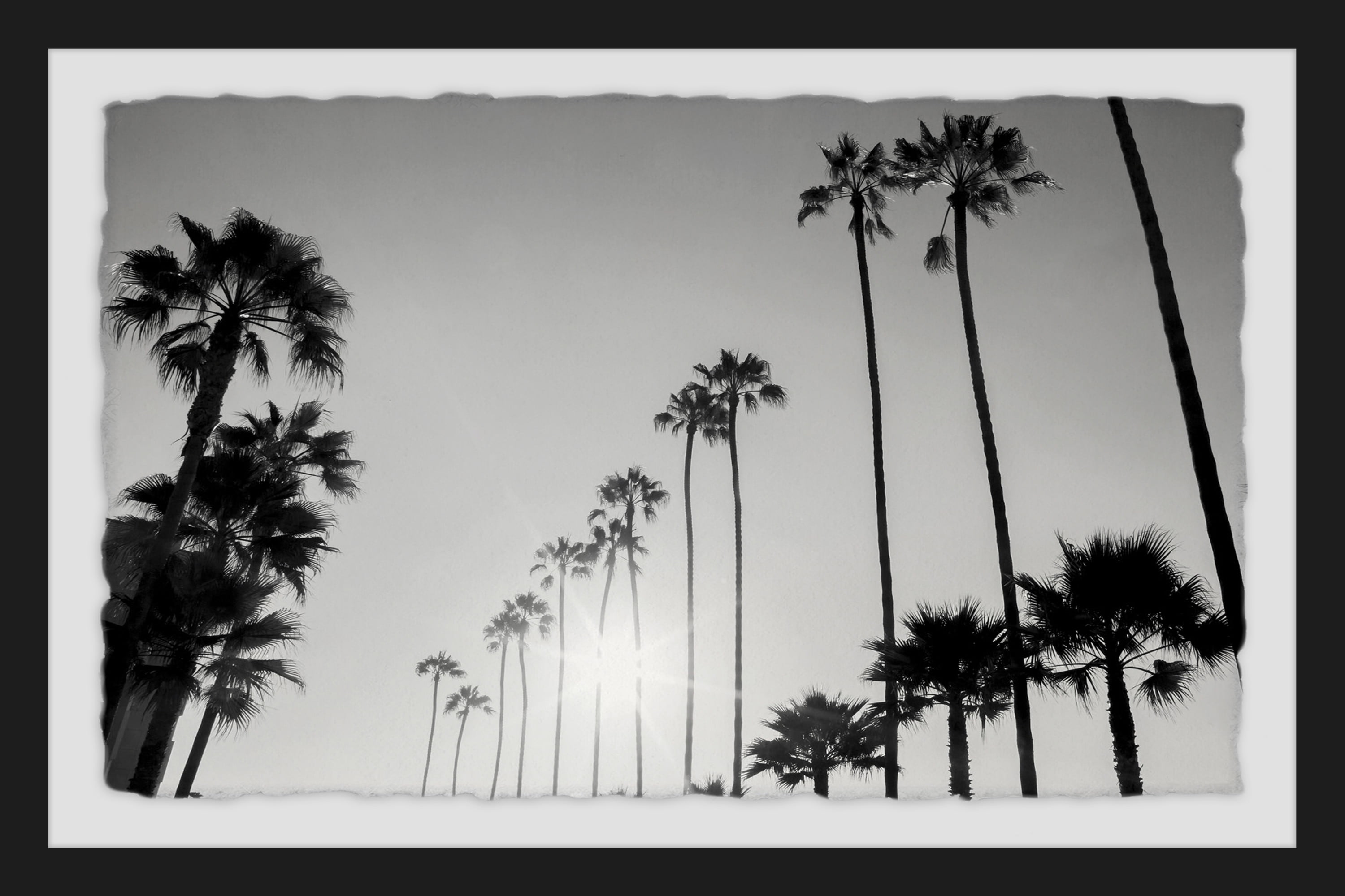 California Dreaming III Framed Painting Print