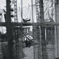 thumbnail image 1 of Paul McCartney - Chaos and Creation (Vinyl LP), 1 of 3