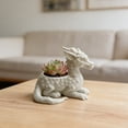 thumbnail image 5 of Mythical Dragon Planter Pot, 3D Printed Sculpture Flower Pot for Succulents Small Plants Home Office Garden Decor Gift for Fantasy Lovers, 5 of 7