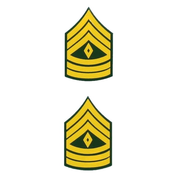 US Army E-8 1st SGT Rank 2-Piece 1 inch First Sergeant 1SG Decals - Veteran Owned Business