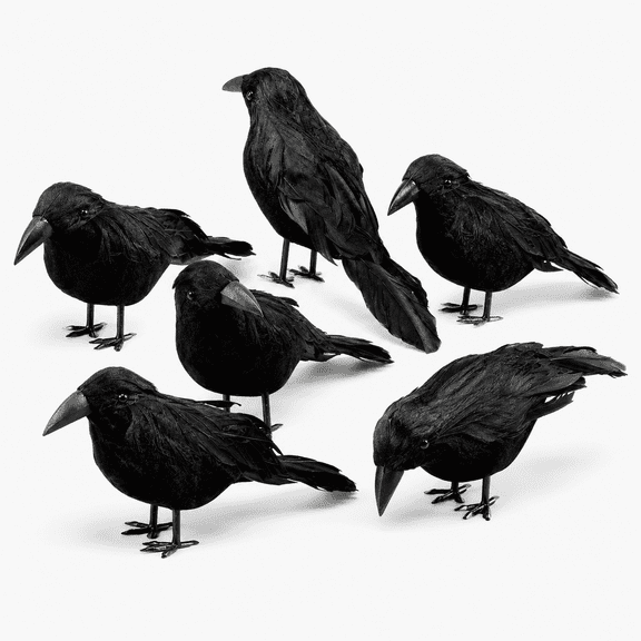 Aximioll 6 Pcs Halloween Black Feathered Crow Decorations, 6 Inch Realistic Lifelike Raven Decor, Creepy Handmade Black Bird for Haunted House Tabletop Shelf Mantel and Halloween Party
