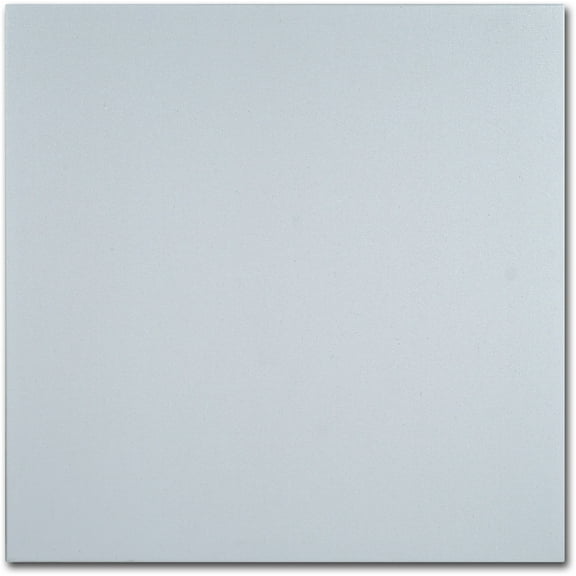 Trademark Fine Art Professional Blank White Canvas on Stretcher Bars