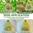 thumbnail image 6 of Fuebueo Garden Netting Clearacne Fruit Protection Bags 100 Pcs Green Fruit Netting Cover Bags Drawstring Mesh Fruit Protectors Pest Barrier for Plant Fruit Flower Veggies Garden - Large, 6 of 8