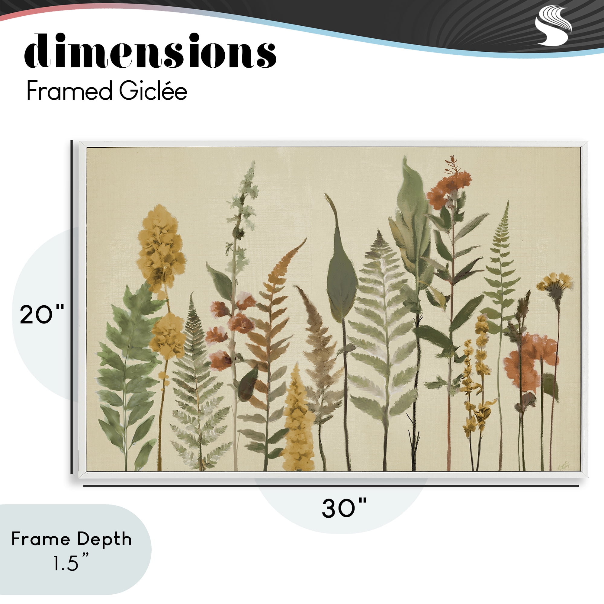 Stupell Industries Fall Toned Botanics White Framed Giclee Art, design by Elizabeth Medley