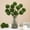 A, variant on Home Decor QTOCIO New Simulation Of Green Plants Green Dianthus Green Hair Balls Home Hotel Decoration Fake Flowers Floral Landscaping Materials