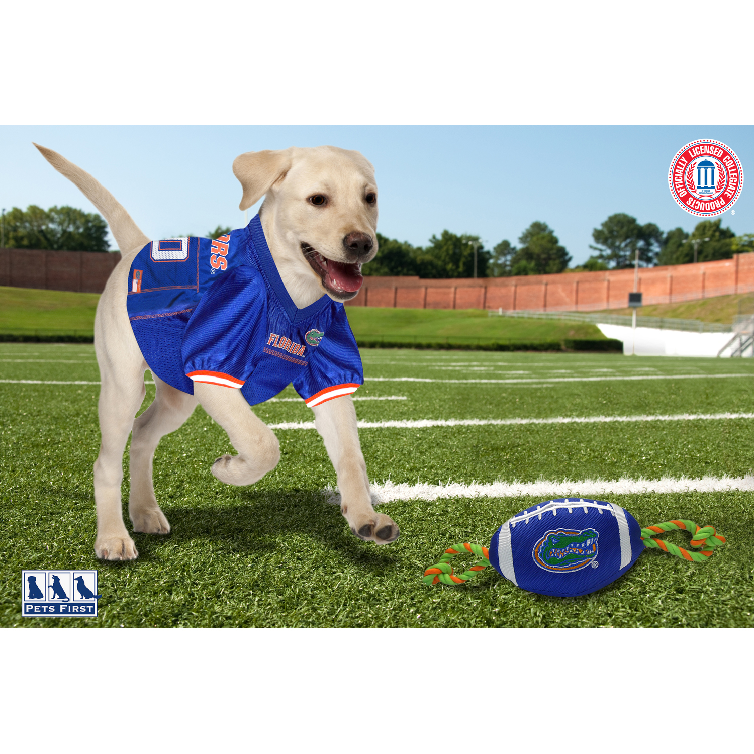 Pets First Collegiate Florida Gators Nylon Football-Licensed