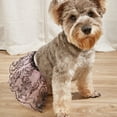 thumbnail image 6 of NIBOLOG Pet Dress Super Soft Bow-knot Design Bright Color Easy-wearing Machine Washable Decorative Polyester Cute Pet Tutu Dress Female Dog Tulle Skirt Pet Supplies, 6 of 8