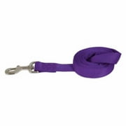 Petmate 274162 1 in. x 6 ft. Dog Leash, Purple