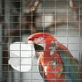thumbnail image 4 of MUSEYA 10Pack Bird Treat Holder Plastic for Home Use with Easy to Clean Feature, 4 of 6