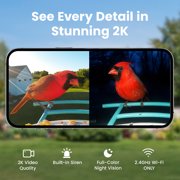 Netvue Birdfy Bird Feeder with Camera, Smart Bird Camera with Solar Panel, AI Identify 6000+ Species, Automatic reminder recording, Ideal Gift