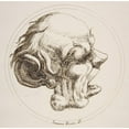 thumbnail image 3 of Gaetano Piccini 12x12 Black Modern Framed Museum Art Print Titled - Grotesque Head with a Large Ear and an Open Mouth Looking to the Right Within a Circle (1727), 3 of 5