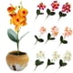 thumbnail image 1 of Gwong Decoración hogareña Phalaenopsis artificial Flower DIY Supplies Garden Party Props Decoración de escritorio Gwong 21056215, 1 of 7