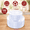 Clear, variant on Sage Green Plastic Party Plates, 100 Count (50 Dinner, 50 Dessert) For Weddings, Easter & Gatherings