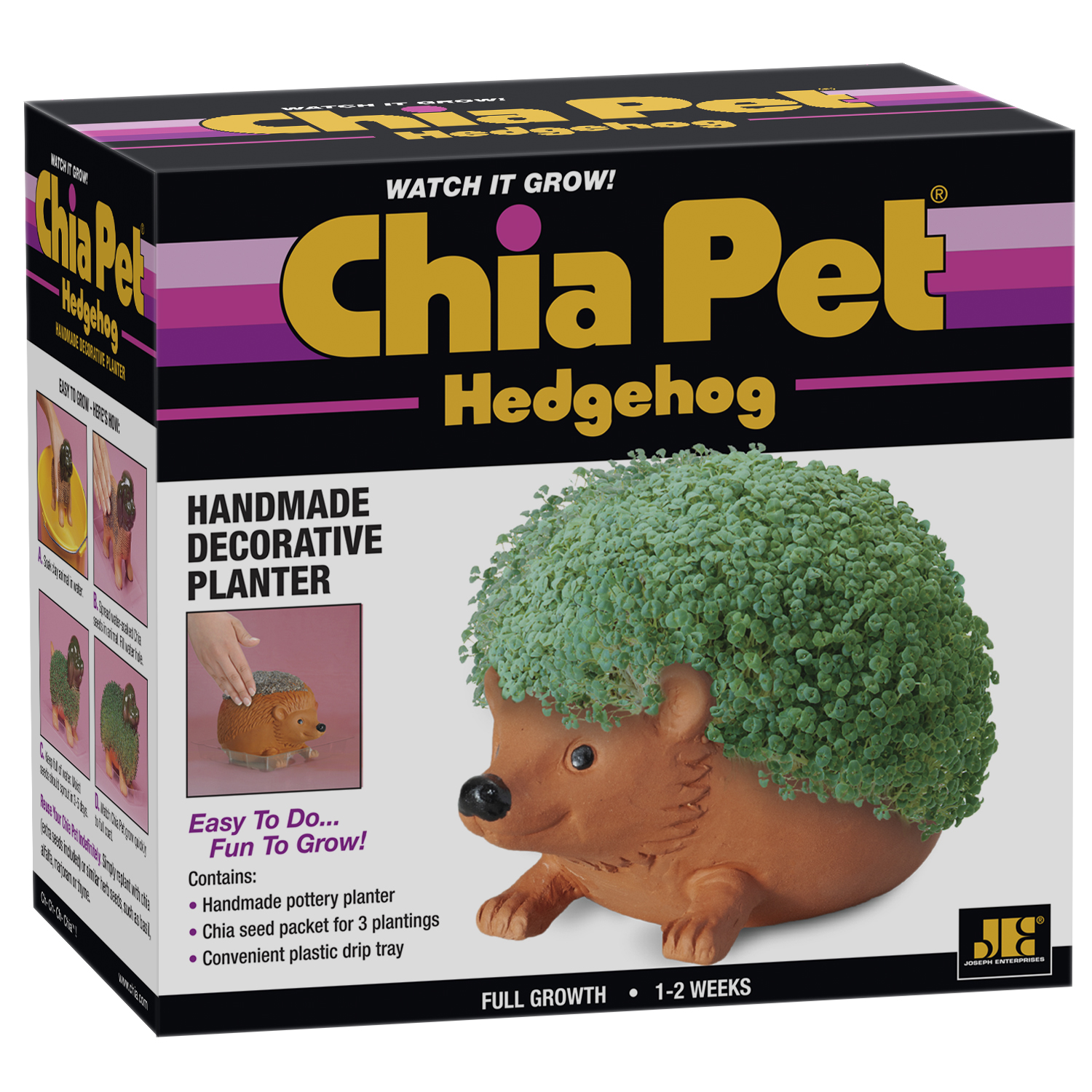 Chia Pet Hedgehog Decorative Planter Clay 1 pk - image 2 of 4