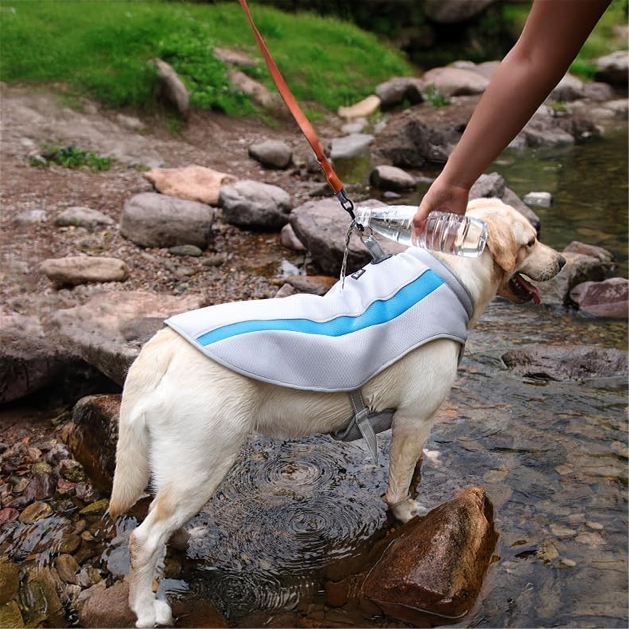 HQREA Dog Cooling Vest for Large Dogs, High-tech Dog Ice Harness, Hiking/Camping Gear