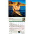 thumbnail image 3 of Fly Fishing Dreams OFFICIAL | 2027 12x24" (Hanging) Wall Calendar | Plastic-Free, 3 of 9