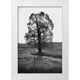 thumbnail image 1 of Lee, Judson 11x14 White Modern Wood Framed Museum Art Print Titled - Giant Tree, 1 of 4