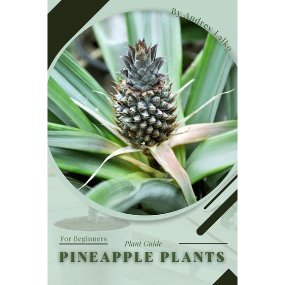 Pineapple Plants: Plant Guide (Paperback)