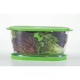 thumbnail image 4 of Solutions de Préparation par Progressive Laitue Keeper Produire Conteneur de Stockage, 4,7 Litres, 4 of 5