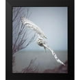 thumbnail image 2 of Grippo-Pike, Carrie Ann 15x17 Black Modern Framed Museum Art Print Titled - Snowy Owl In Flight, 2 of 5