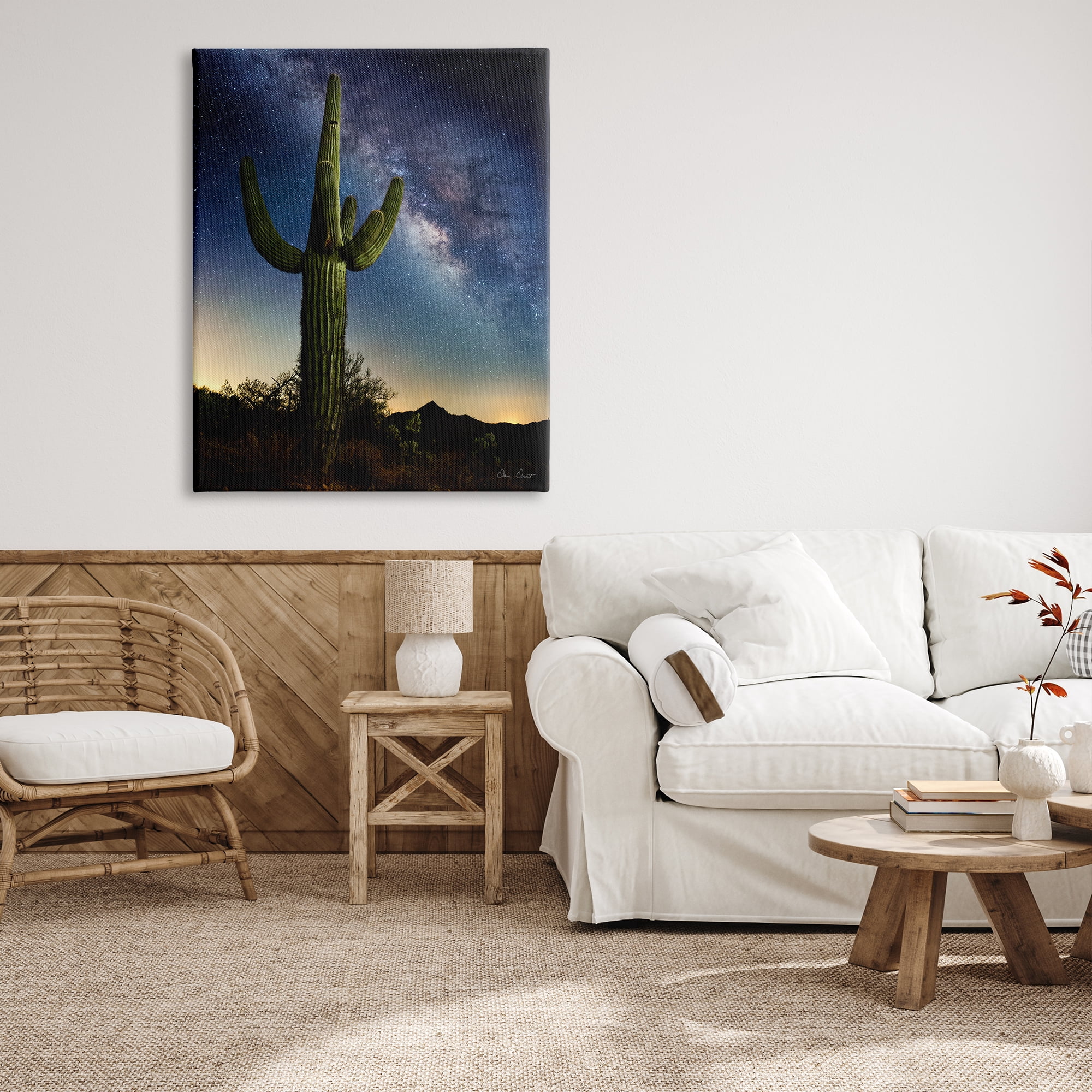 Stupell Industries Cactus & Nebula Photography Fairy Tales & Fantasy Photography Gallery Wrapped Canvas Print Wall Art, 36 x 48