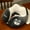 Gray, variant on Gift,Decoration,Stuffed Toy,Cushion Plush,Soft