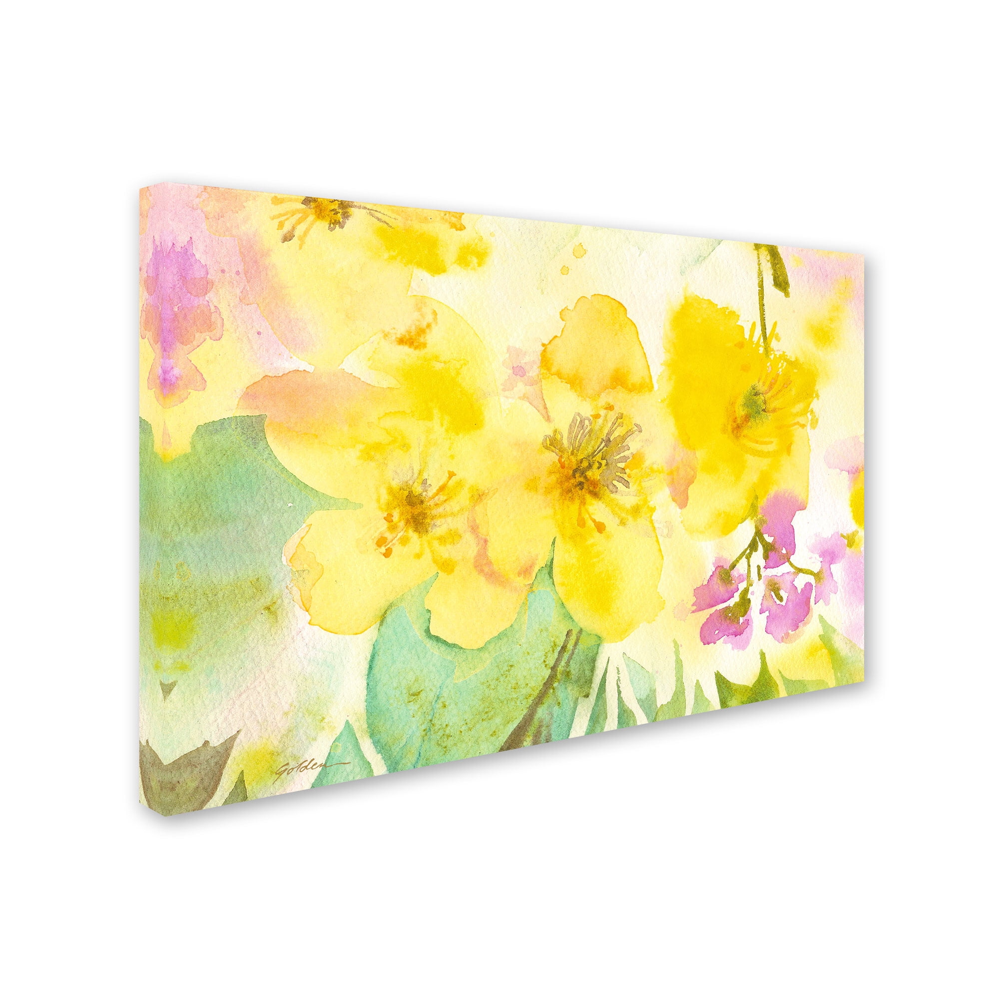 Trademark Fine Art "Yellow Trio" Canvas Art by Sheila Golden