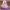 Purple, variant on Breathable Hanging Mosquito Net Top Hook Lace Bed Canopy Encrypted Mesh Round Dome Court Style Crib Canopy Bedroom Decoration