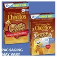 Honey Nut Cheerios Heart Healthy Gluten Free Breakfast Cereal, Family