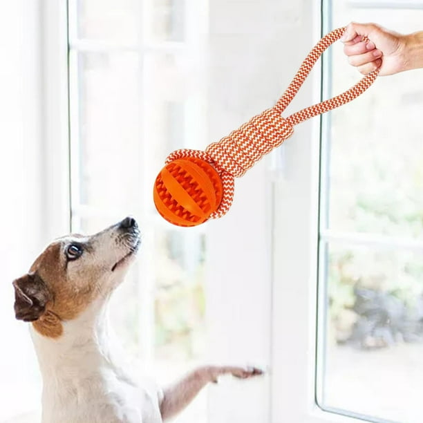Pelota para perros con cuerda juguete interactivo para perros para comederos de rompecabezas juguete de para perros pequenos y Naranja Gloria pelota Walmart en linea
