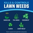 thumbnail image 2 of BioAdvanced Season Long Weed Killer Concentrate, 32 fl oz Bottle, 2 of 6