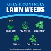 BioAdvanced Season Long Weed Killer, Ready-to-Spray, 32 fl oz Bottle