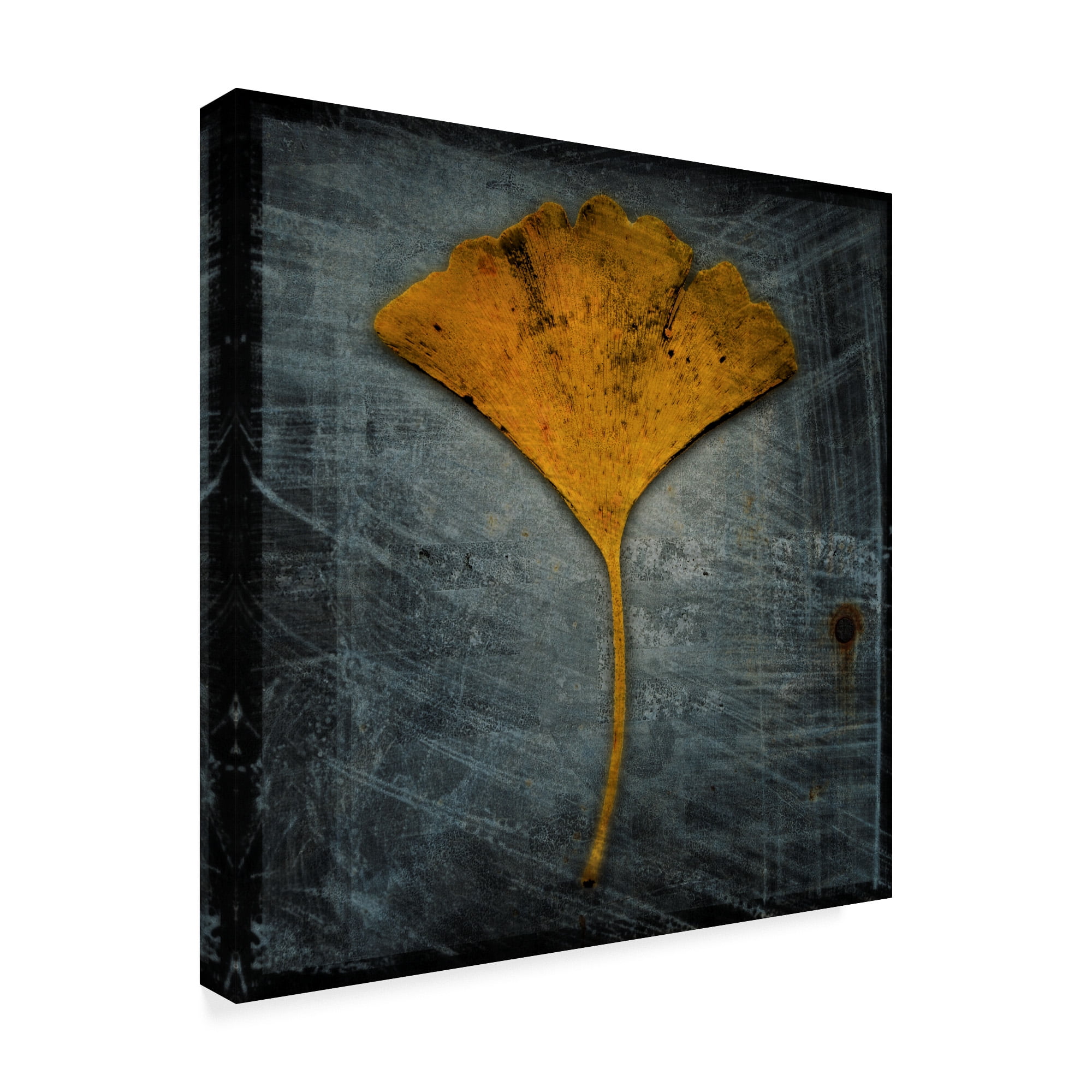 Trademark Fine Art 'Gingko Blue' Canvas Art by John W. Golden