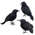 thumbnail image 1 of Simulation Black Crow Feather Animal Halloween Props Simulation Crow Festival Feather Production Decorative Props, 1 of 8