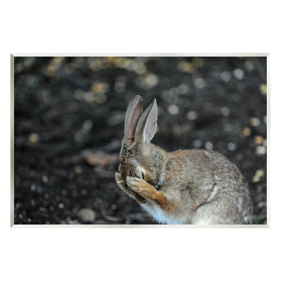 Stupell Industries Embarrassed Rabbit Photograph Animals & Insects Photography Unframed Art Print Wall Art, 15 x 10