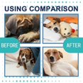 thumbnail image 2 of Dog Calming Pheromone Diffuser Refill Relieve Anxiety Stress Barking Chewing YIJIA, 2 of 4