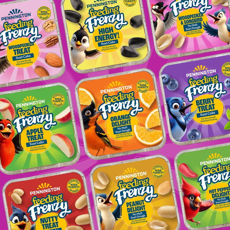 Pennington Feeding Frenzy Woodpecker No Melt Suet Nuggets, 27 oz