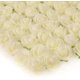 thumbnail image 1 of 144 Piezas (Blancas) Flores Artificiales, Mini Rosa Falsa, Pequeña Flor de Rosa Falsa para Diademas de Boda Nupcial, Accesorios para Hacer Bricolaje, Flores Falsas de 2,5 CM JM, 1 of 5