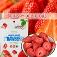 FreezeDried Fruit Strawberry, 10 Pack SingleServe Pack, Non GMO