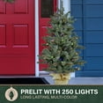thumbnail image 5 of Fraser Hill Farm 4 ft. Heritage Pine Artificial Tree with Burlap Base and Multi-Colored LED String Lights, FFHP056-6GRB, 5 of 12